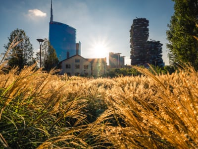 Progetti porta nuova